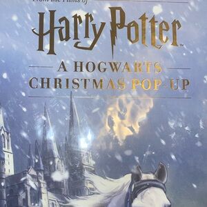 Large Harry Potter hog warts countdown to Christmas pop up